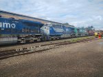 RUMO 9892